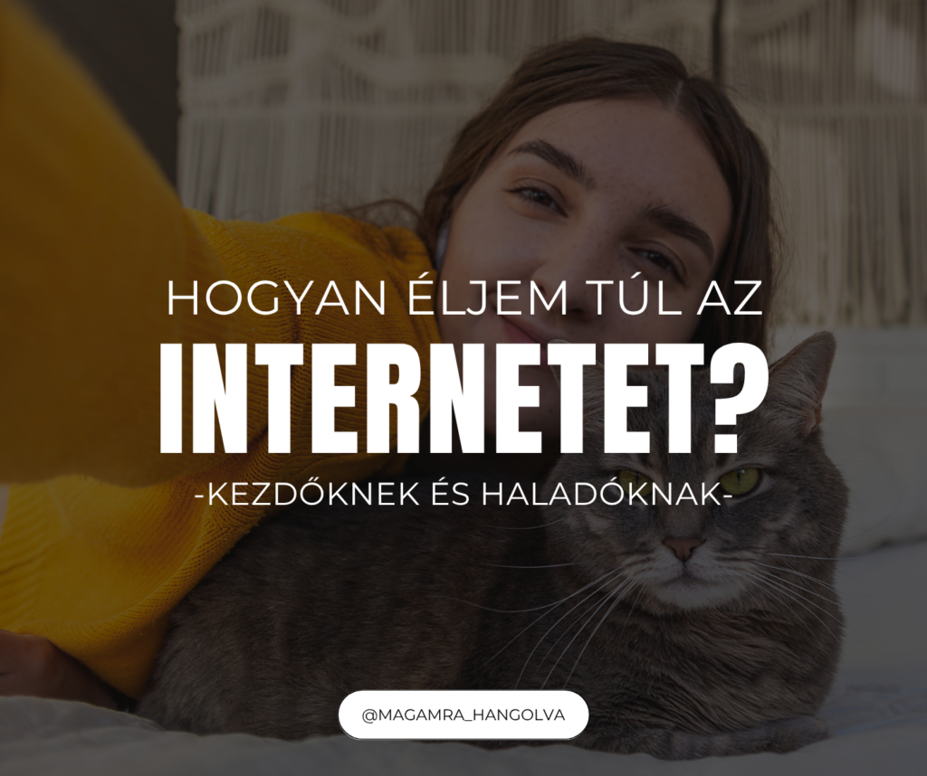 Hogyan éljem túl az internetet 101